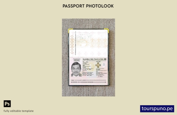 listo para imprimir la plantilla de presentación fotográfica del pasaporte de  5